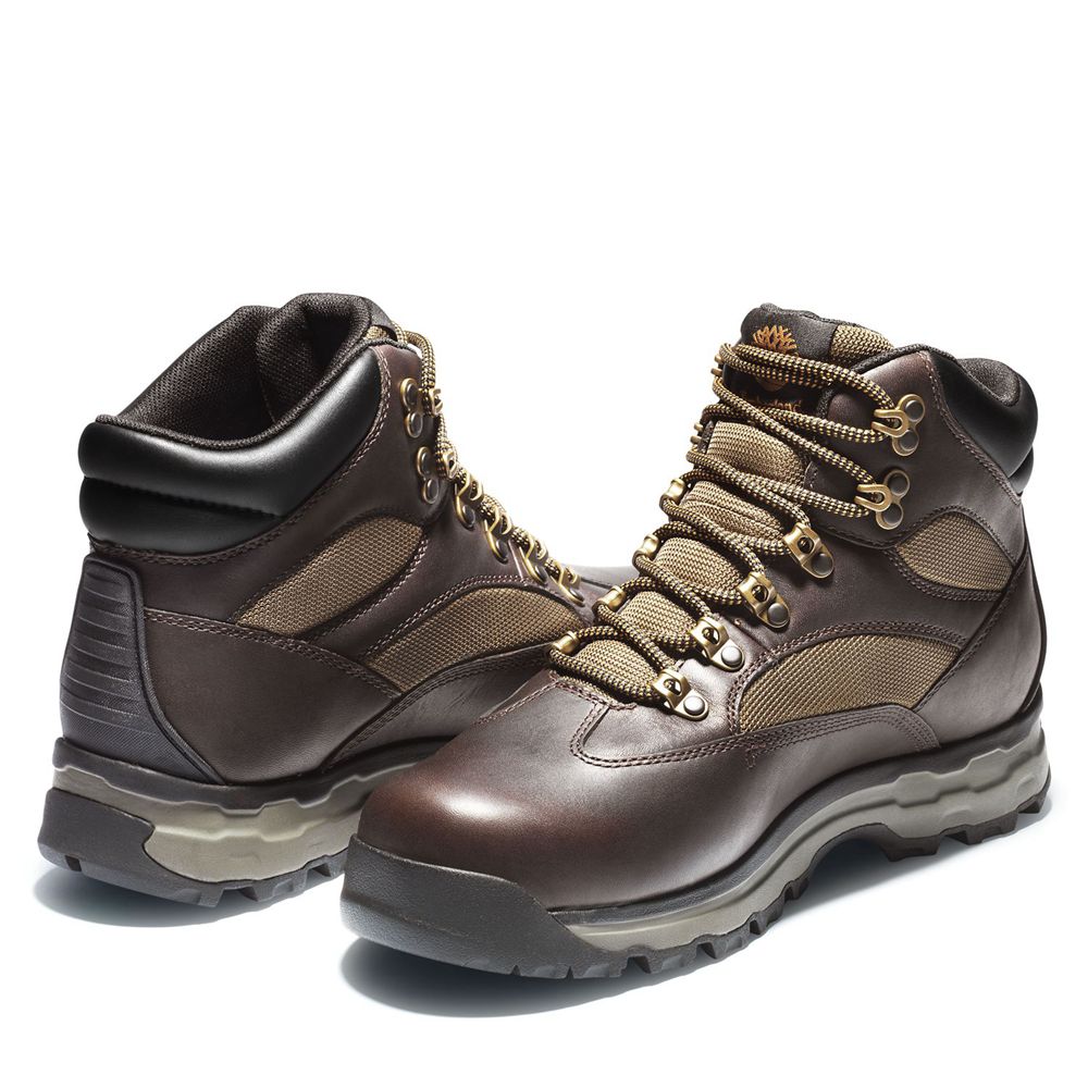 Botas de Montaña Timberland Hombre Chocorua Trail 2.0 Waterproof Marrones Oscuro - Chile LKF-152894